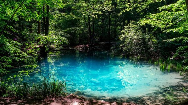 Cazanele Dunării — Lacul Ochiul Beiului — Cascada Beușnița — 01-03 Mai - imagine 2