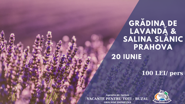 GRADINA DE LAVANDA & SALINA SLANIC PRAHOVA 20 Iunie - imagine 3