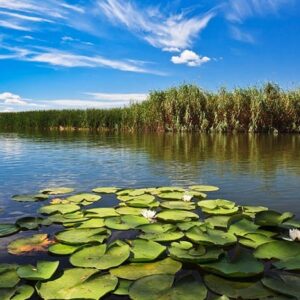 Delta Dunării — Tulcea și Constanța — 29-31 Mai